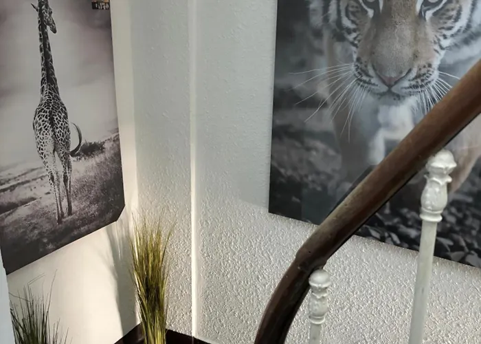 Le Duplex Safari