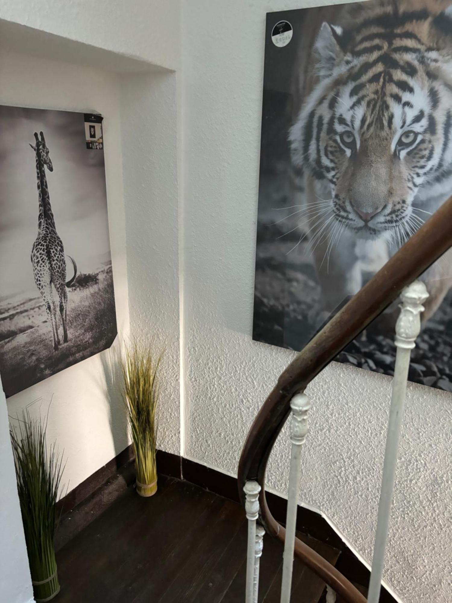 Le Duplex Safari *
