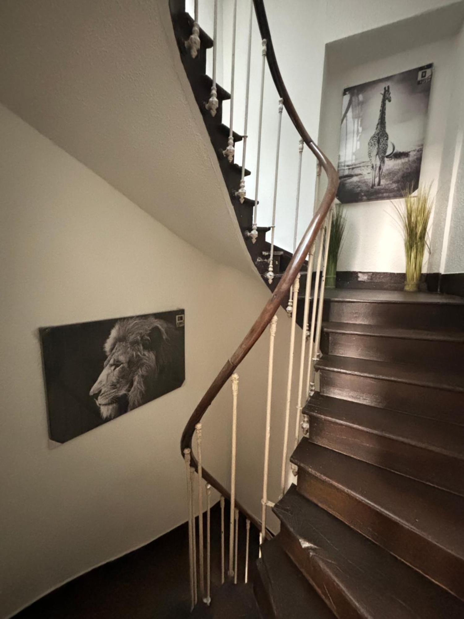 Le Duplex Safari * Saint-Aignan (Loir-et-Cher)