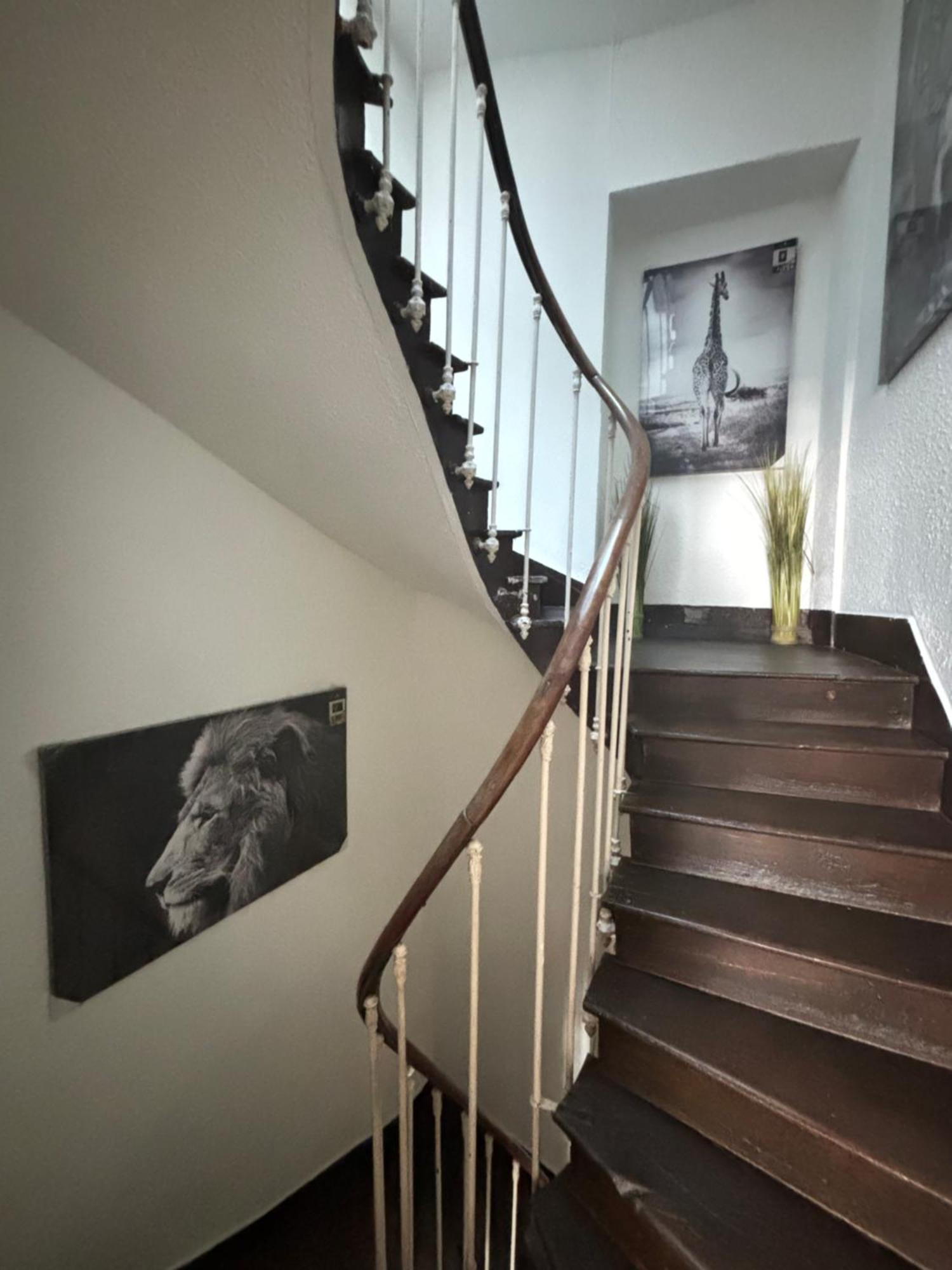 Apartment Le Duplex Safari Saint-Aignan (Loir-et-Cher)