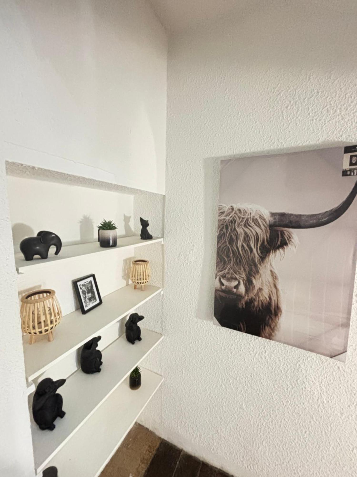 Le Duplex Safari Saint-Aignan (Loir-et-Cher)