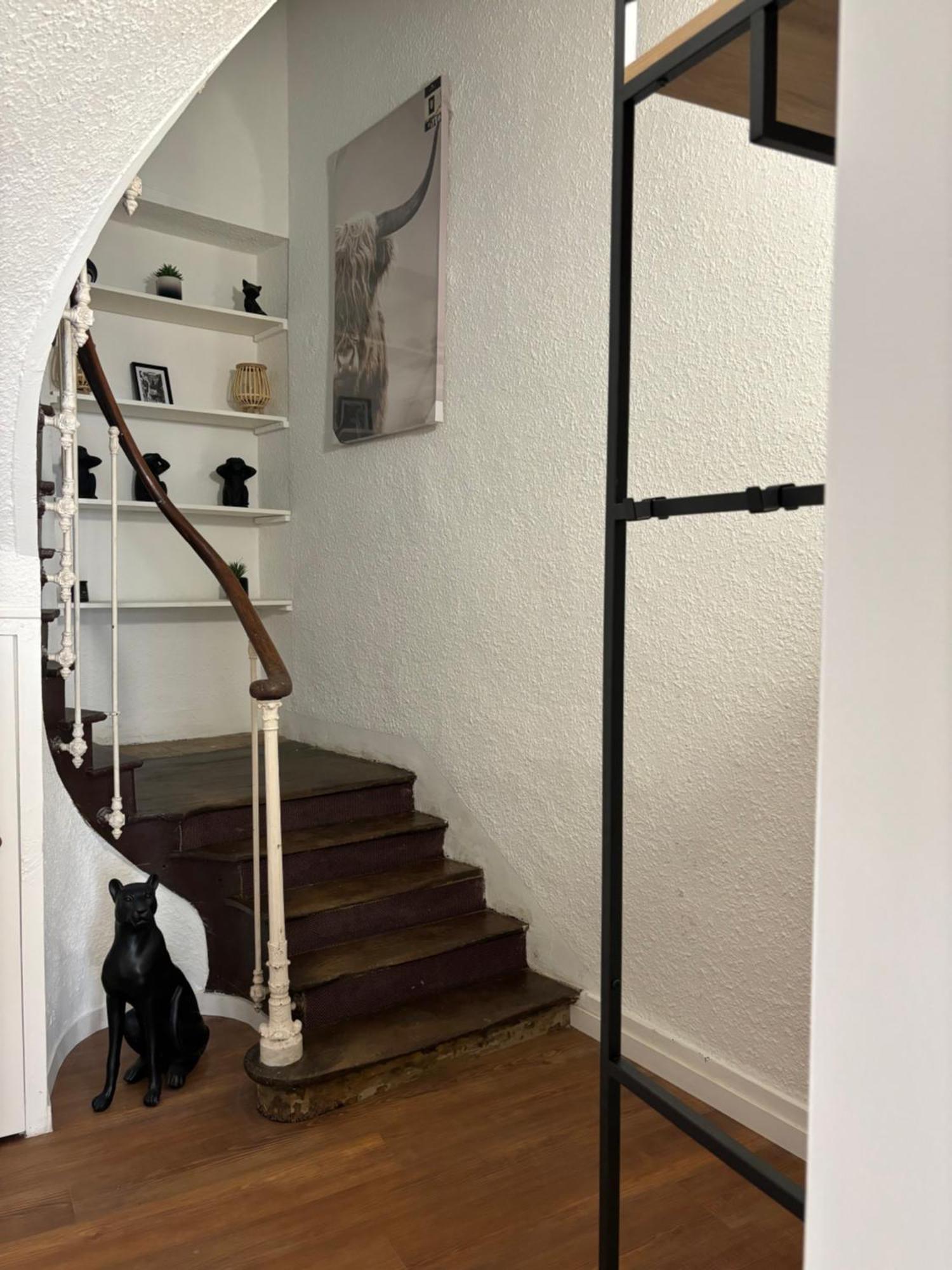 Le Duplex Safari * Saint-Aignan (Loir-et-Cher)